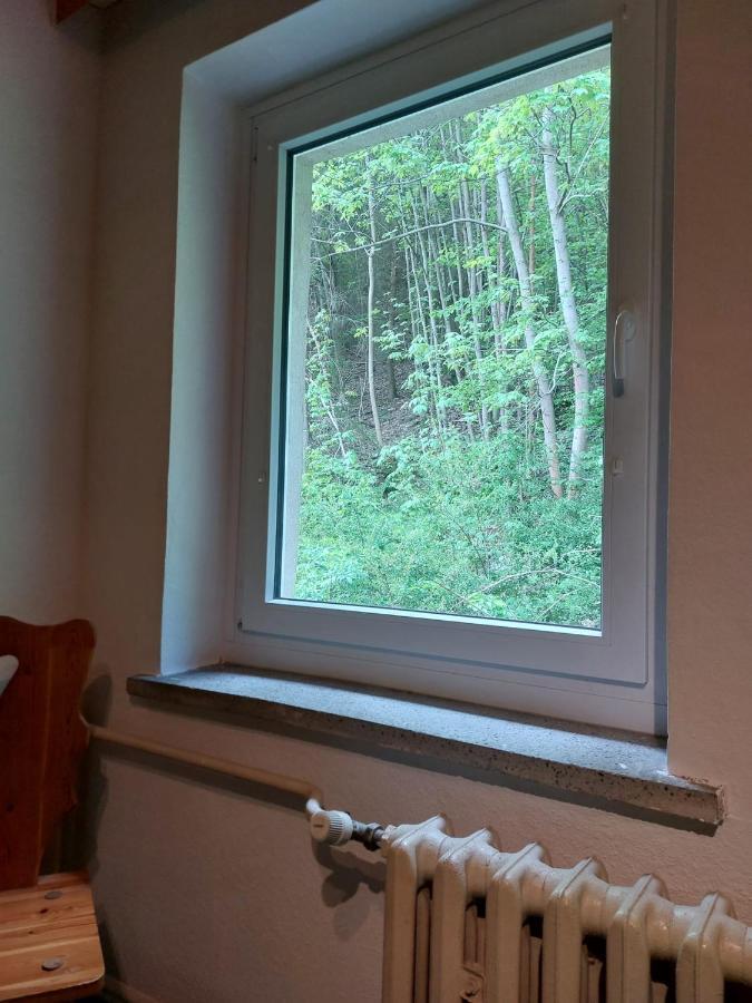 Pension Sternschnuppe, Treseburg Harz, Unmittelbar Am Wasser Thale Ngoại thất bức ảnh