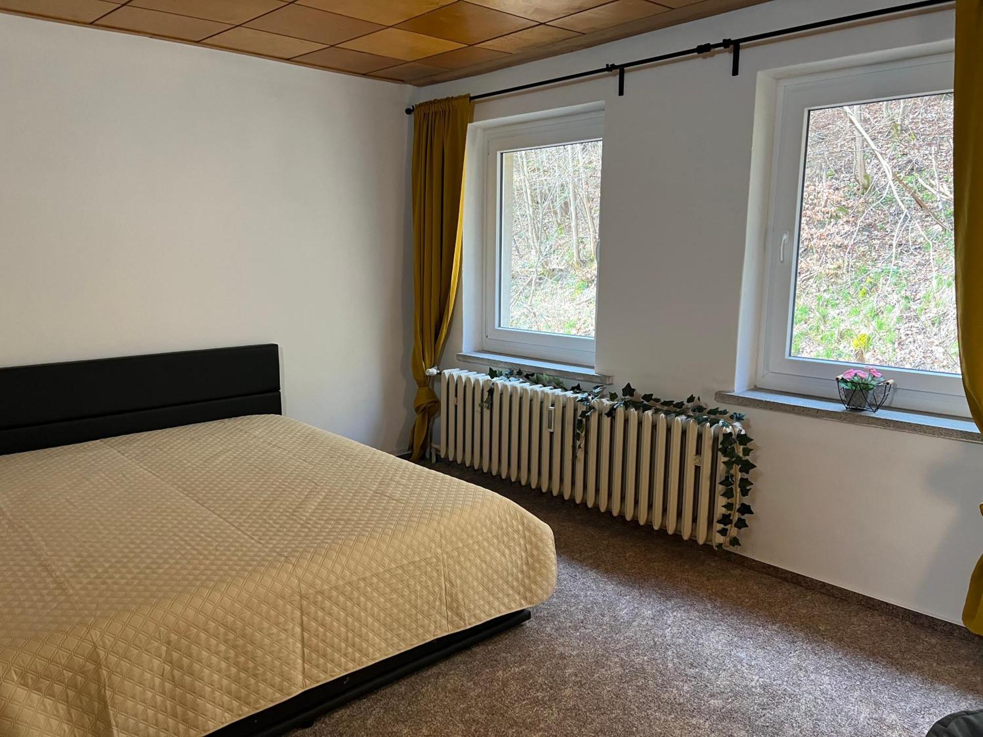 Pension Sternschnuppe, Treseburg Harz, Unmittelbar Am Wasser Thale Ngoại thất bức ảnh