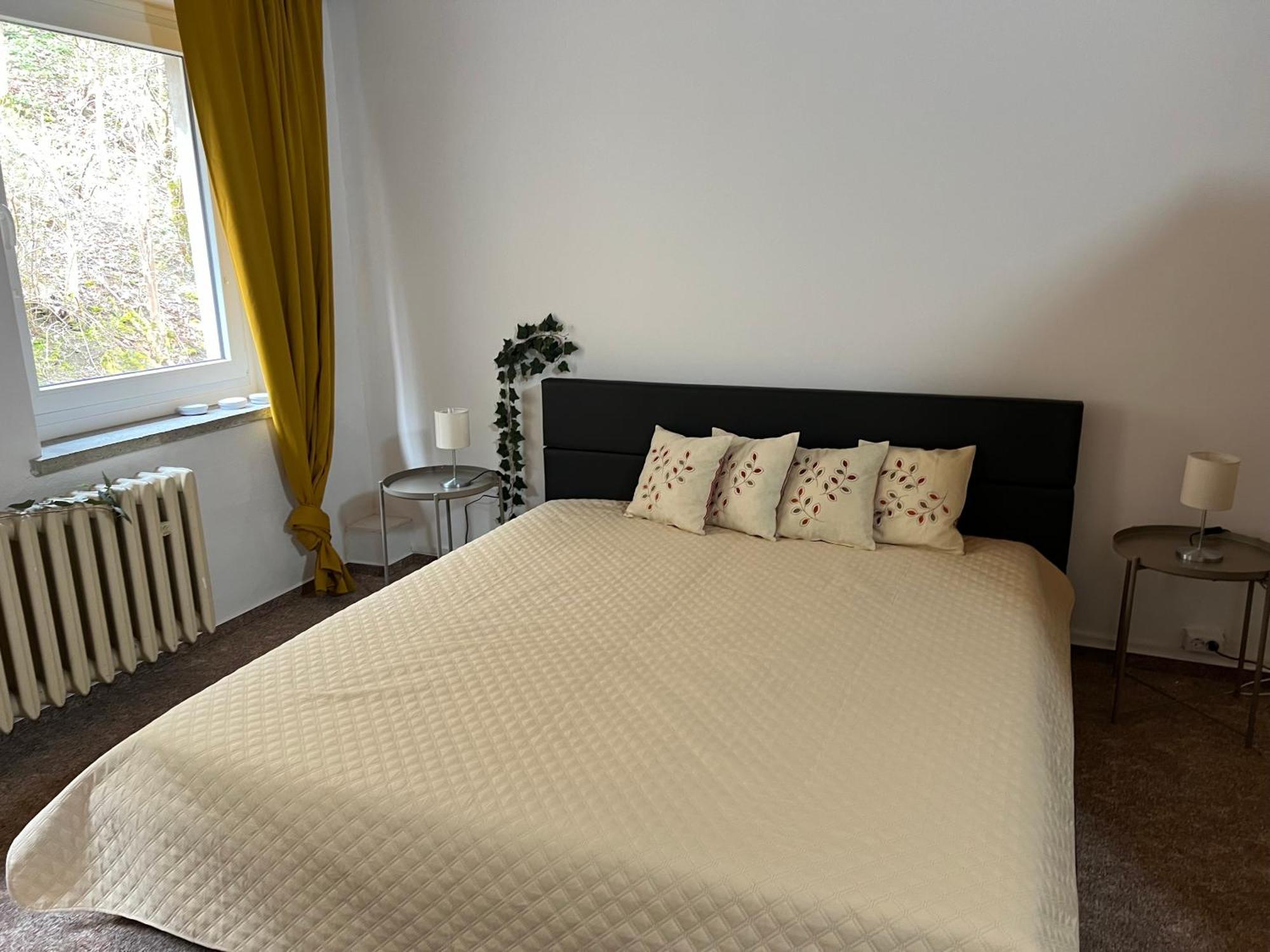 Pension Sternschnuppe, Treseburg Harz, Unmittelbar Am Wasser Thale Ngoại thất bức ảnh