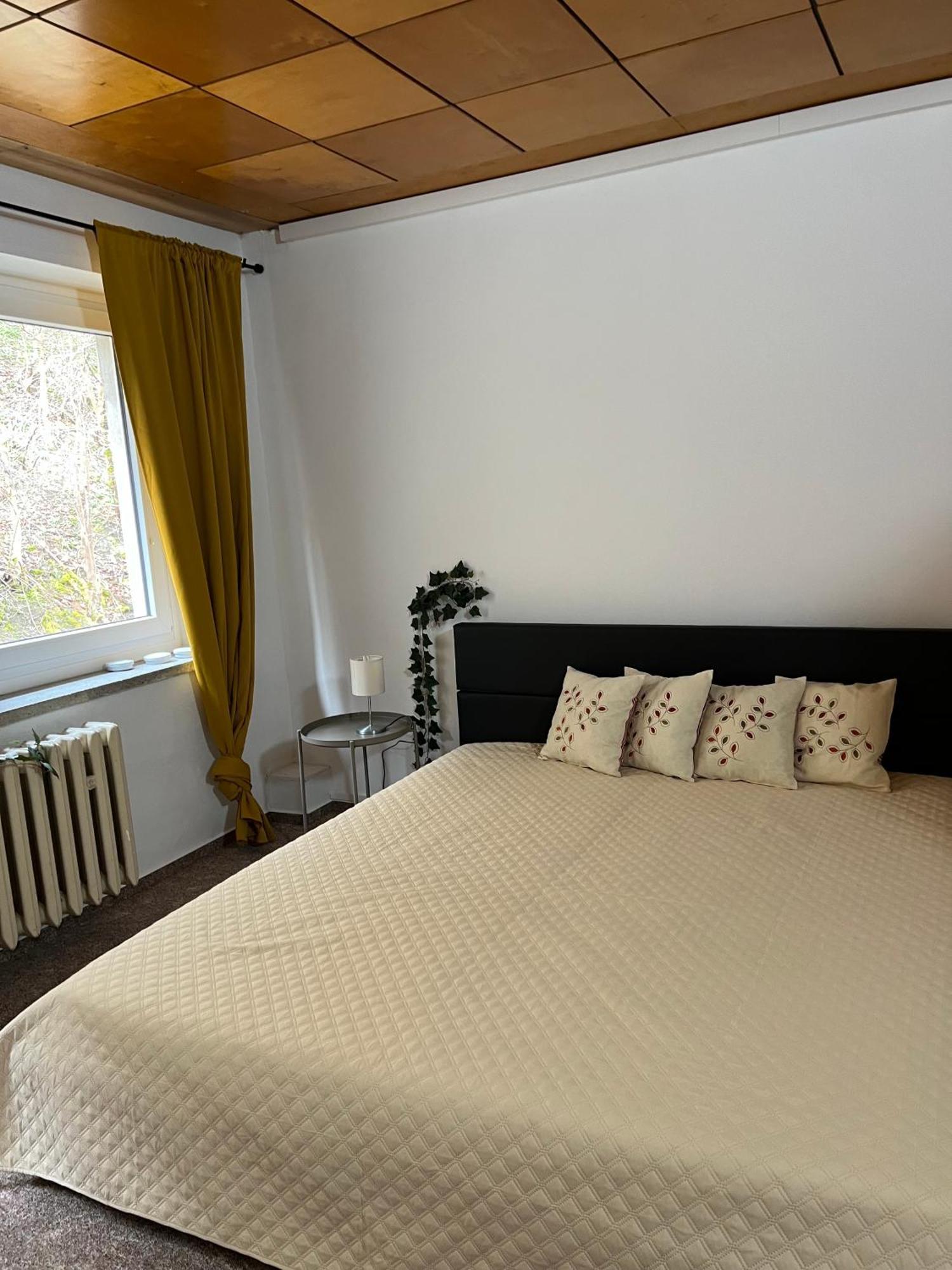 Pension Sternschnuppe, Treseburg Harz, Unmittelbar Am Wasser Thale Ngoại thất bức ảnh