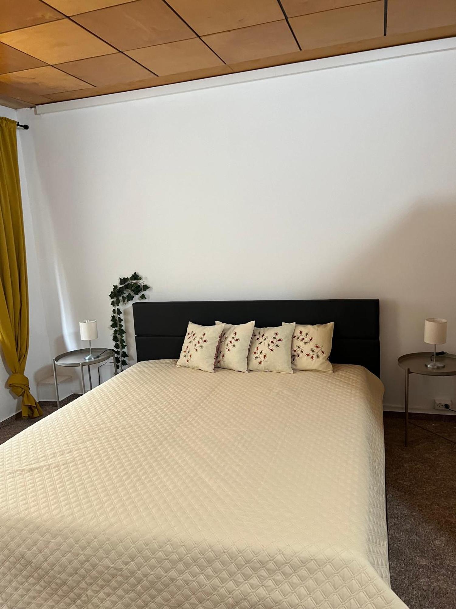 Pension Sternschnuppe, Treseburg Harz, Unmittelbar Am Wasser Thale Ngoại thất bức ảnh